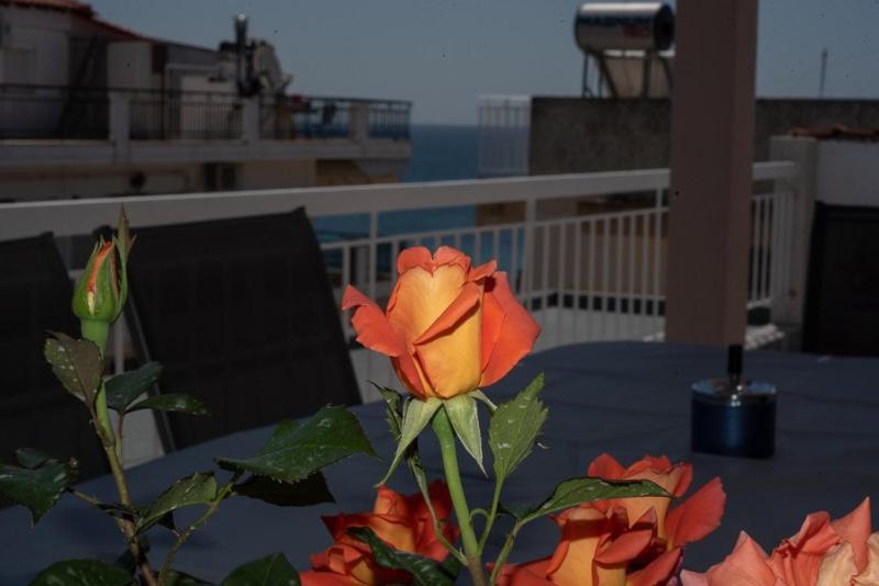Apartment Grcka Reni Greece Penthaus 3