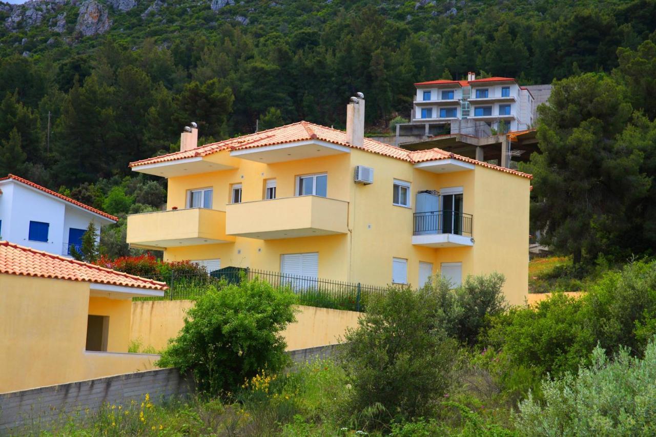 Apartment In Theologos *