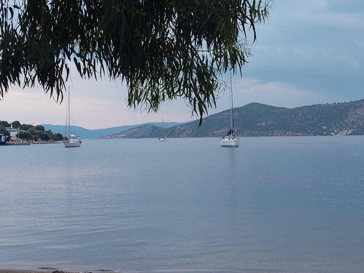 Vitamin Sea 4, άνετο διαμέρισμα.