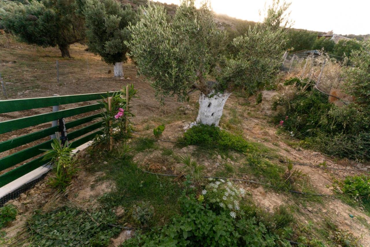 Galini House Holiday home *