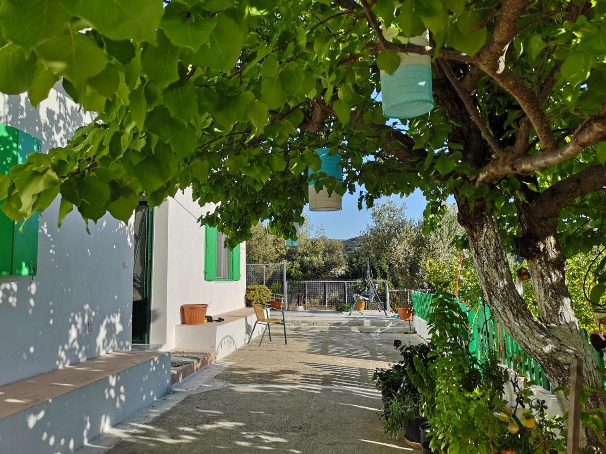 Maison De Village Au Calme - Alonia * Psinthos