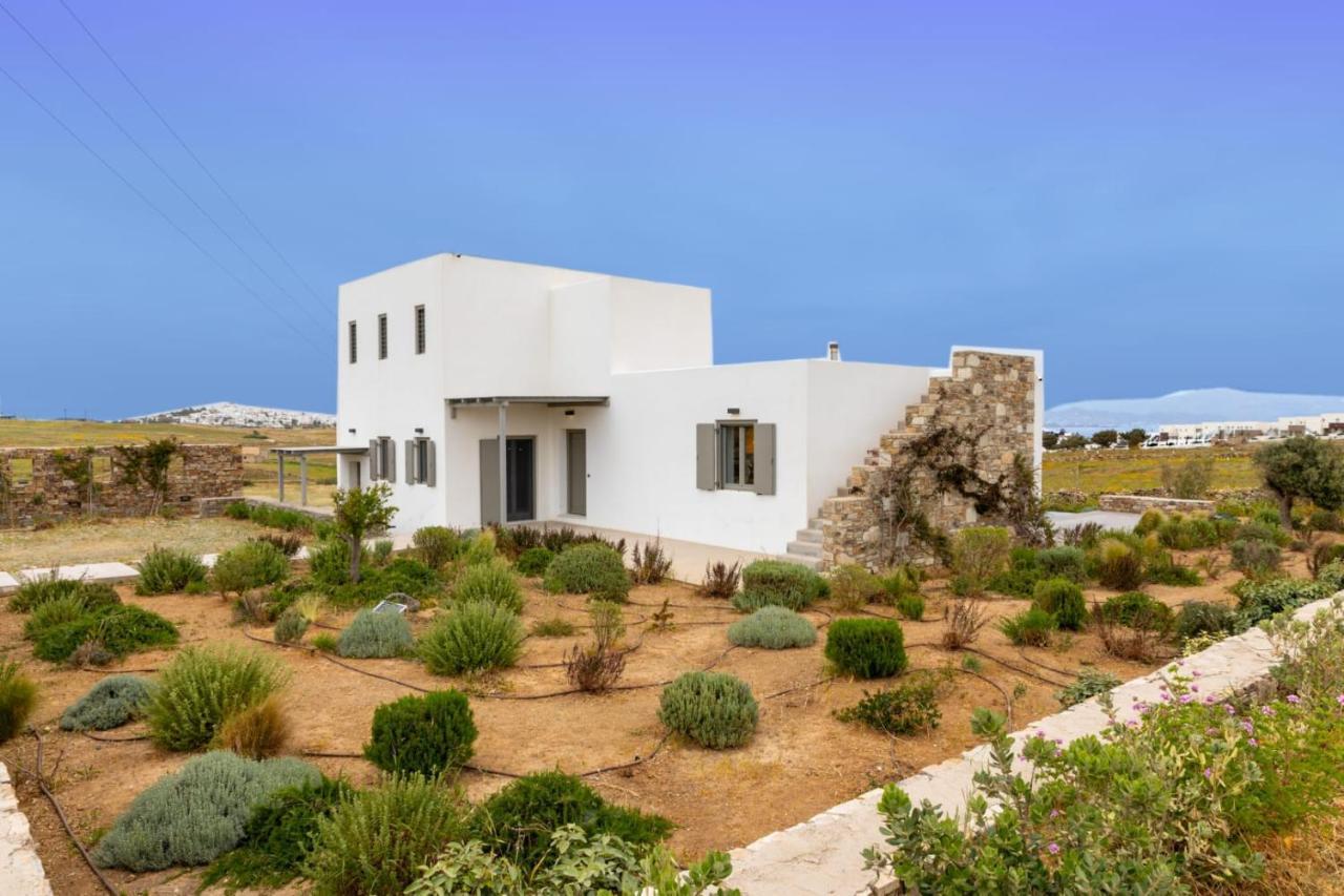 Cactilia In Punda For 8 With Private Pool Villa Parikia (Paros)