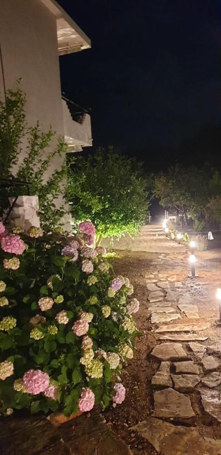 Sivotahomes-family Apartment Sivota (Epirus)