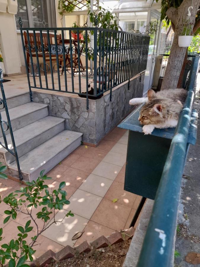 Friendly Philoxenia * Xanthi