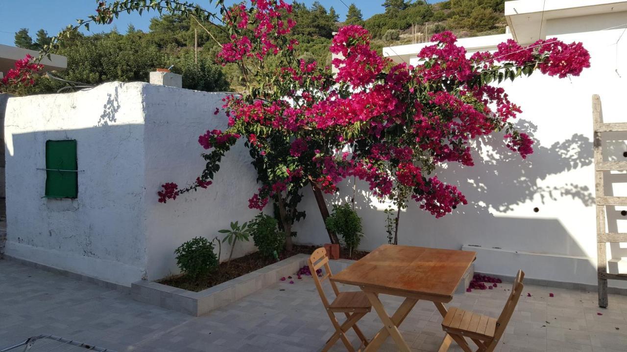 Maison De Village Au Calme - Alonia Holiday home *