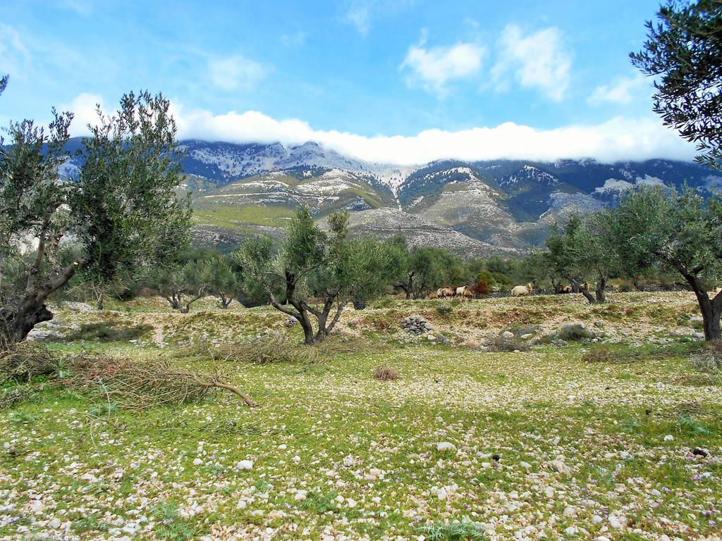 Ramona Lourdata (Kefalonia)