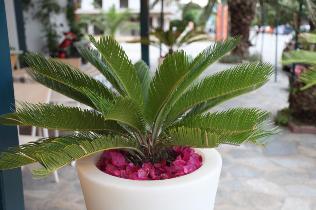 Alexandros Hotel Neoi Poroi