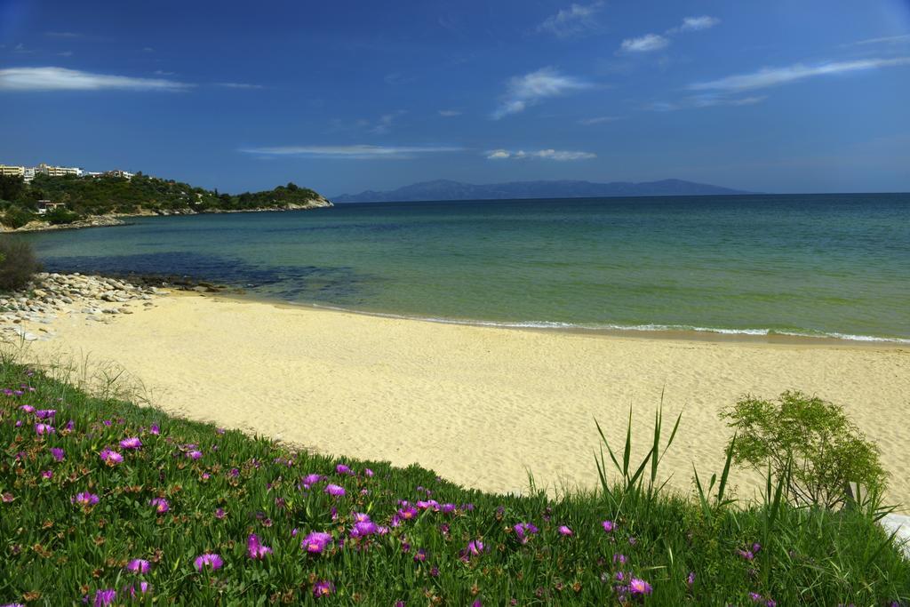 Aparthotel Amalia 3*