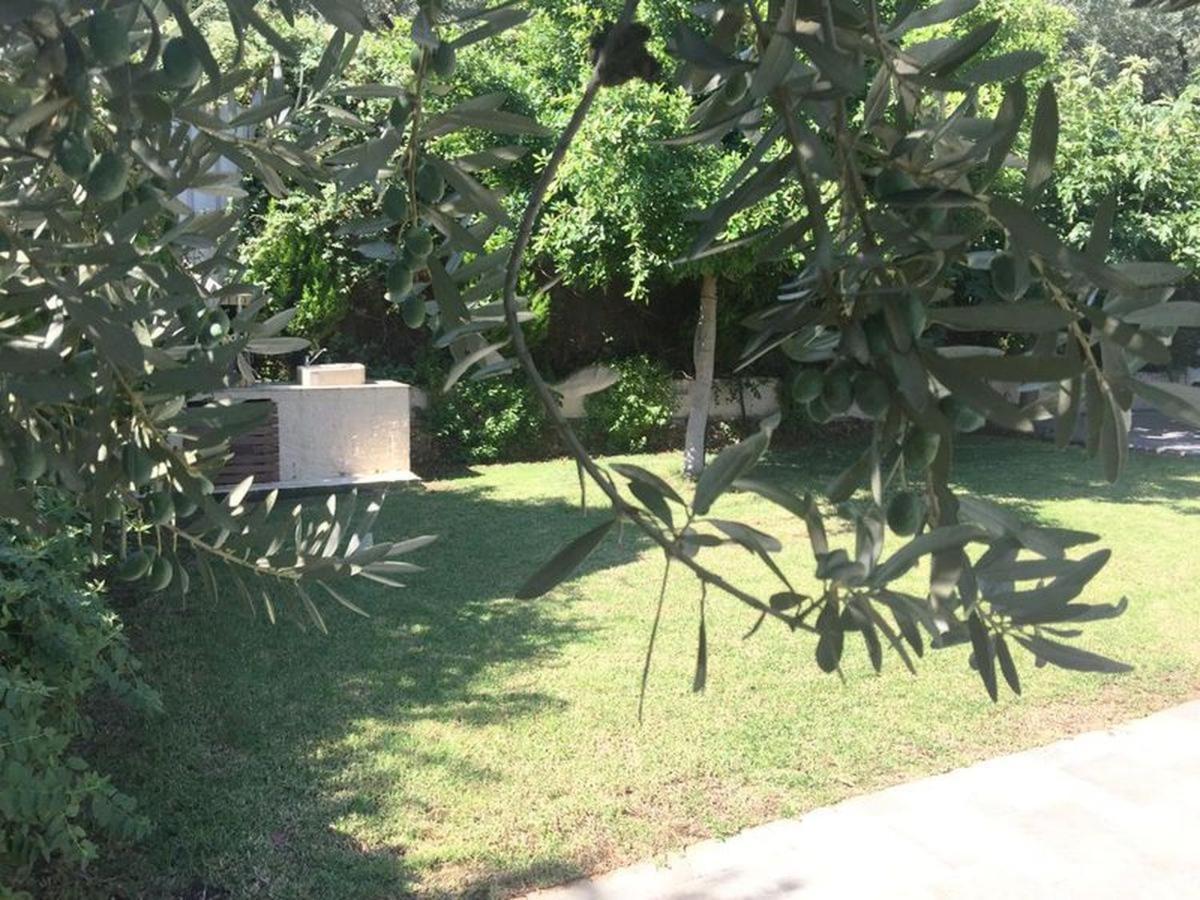 Epidavros Land Christina Country house Epidaurus