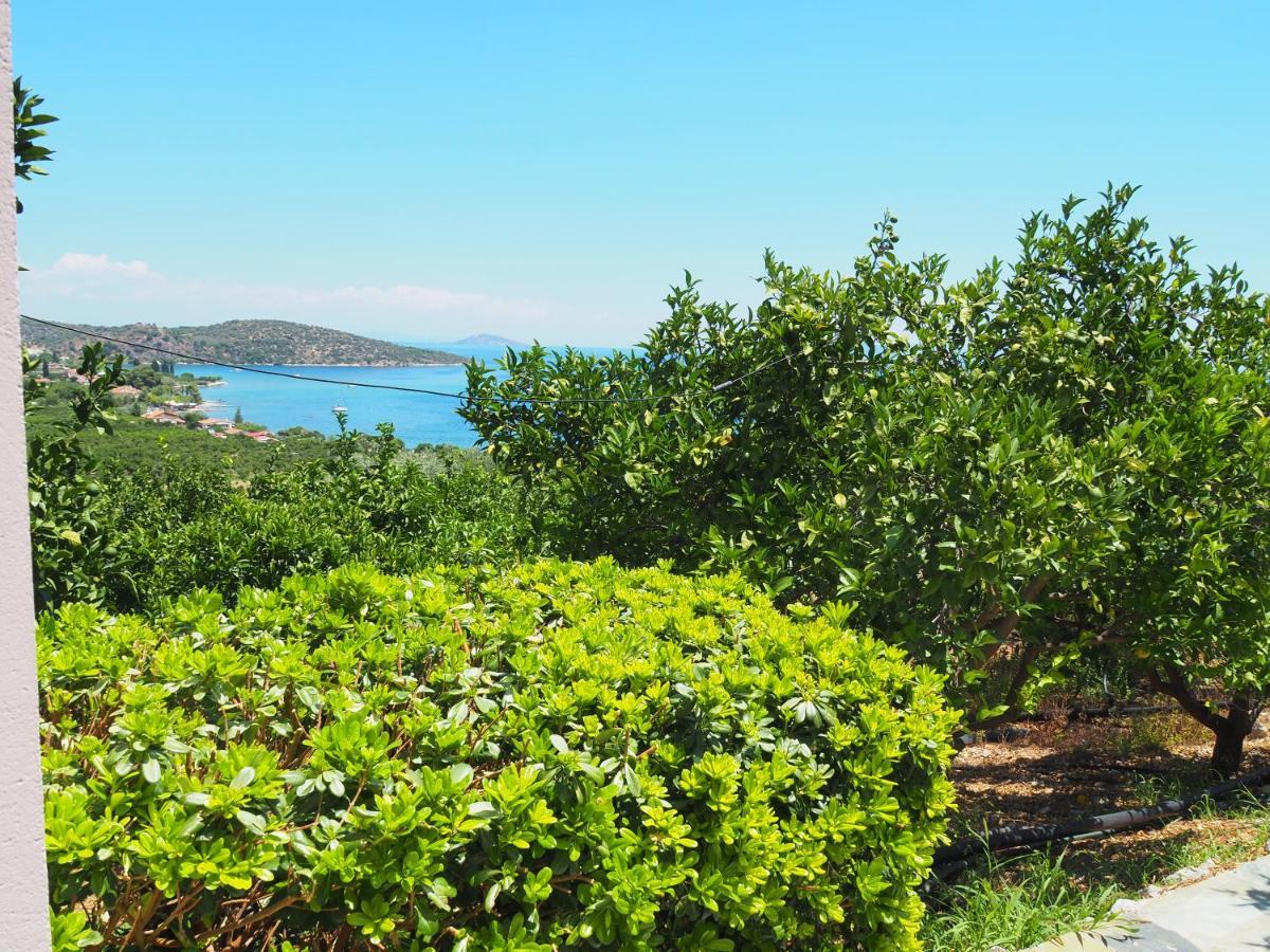 Country house Epidavros Land Christina Epidaurus