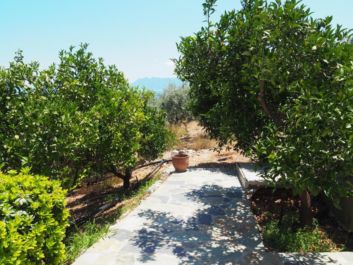 Epidavros Land Christina * Epidaurus