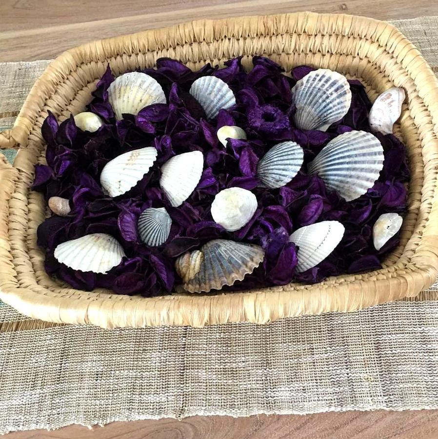 Nautilus Holiday home
