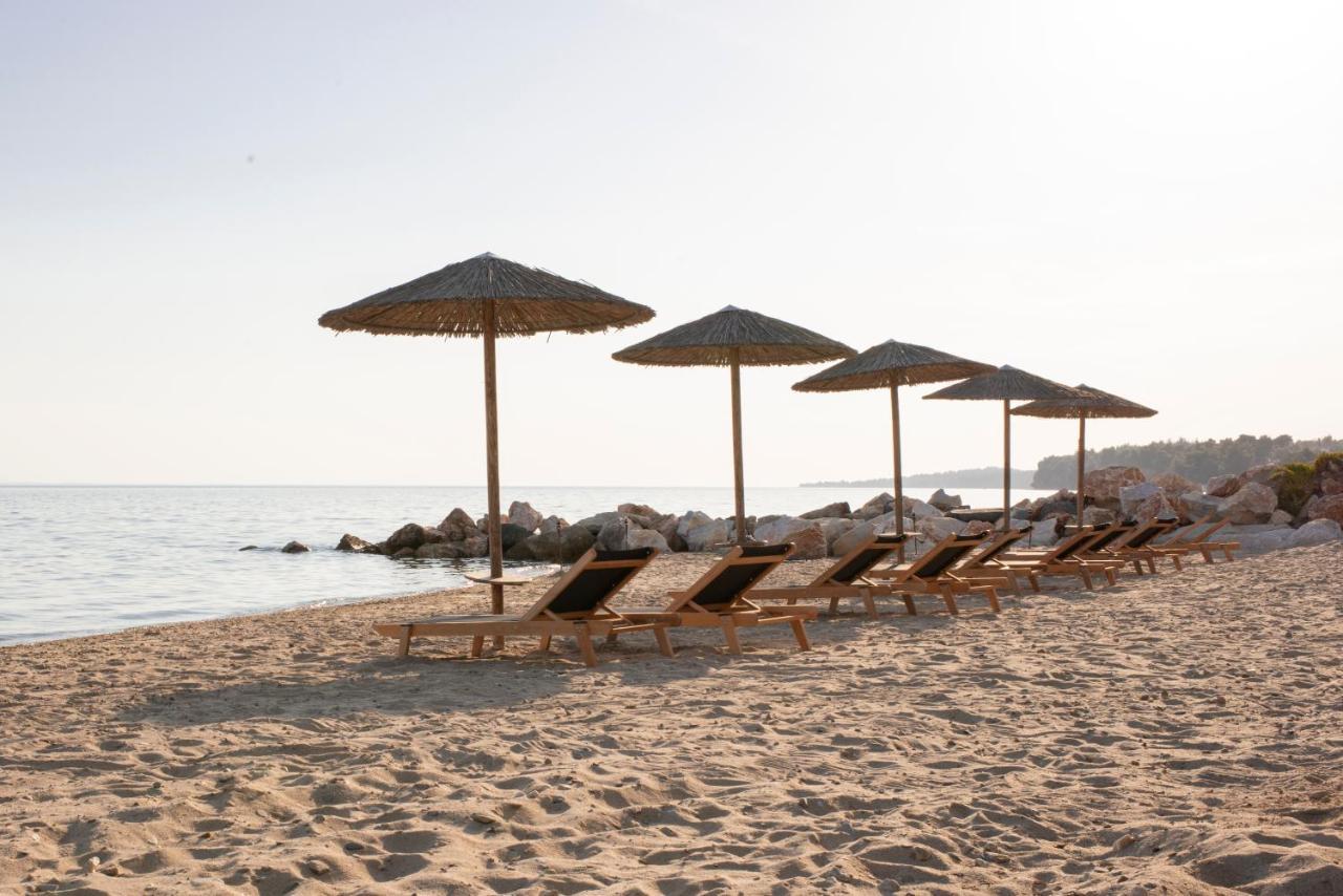Mina's House Beachfront Nikiti (Sithonia)