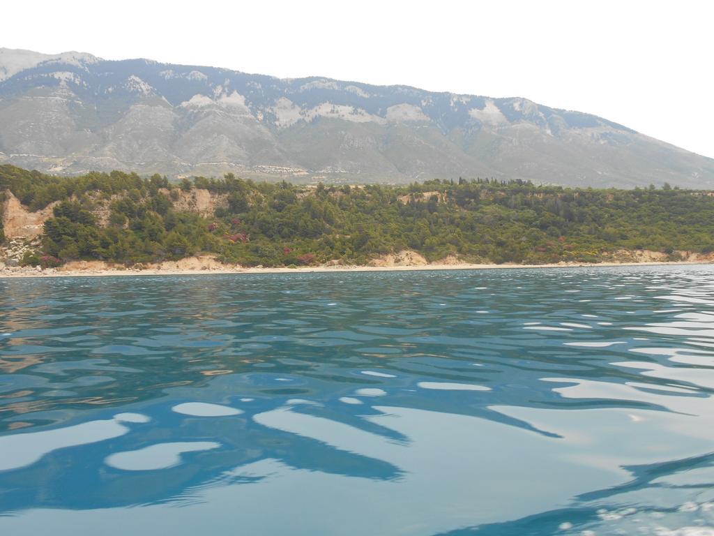 Apartment Diona Lourdata (Kefalonia)