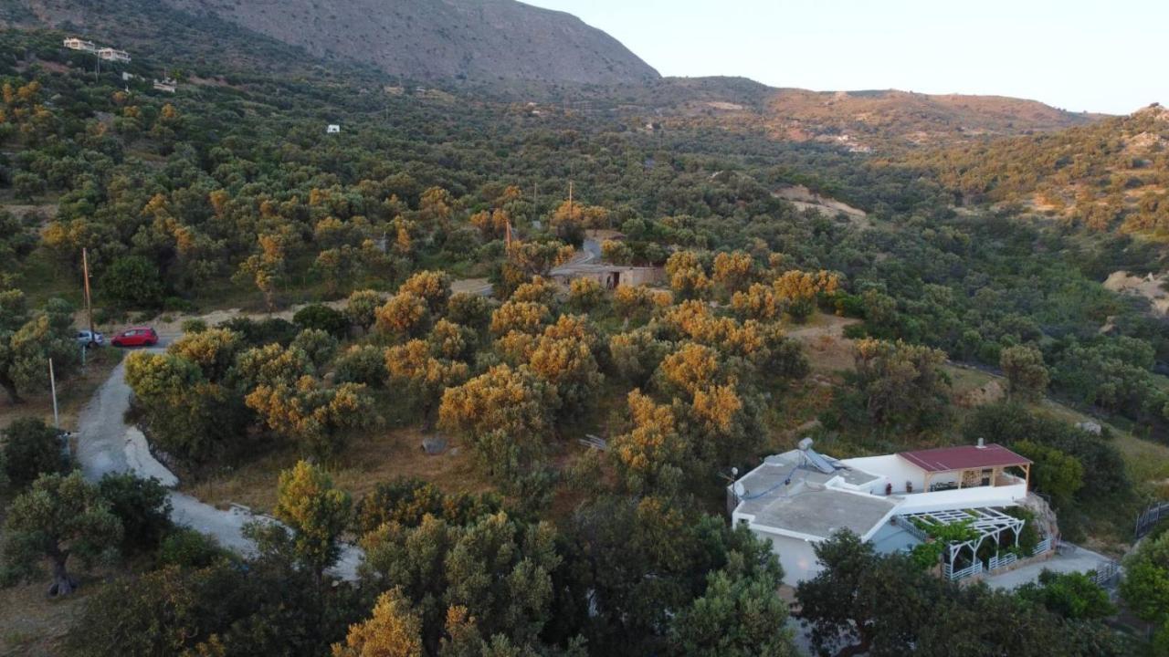 Mano's House Holiday home *