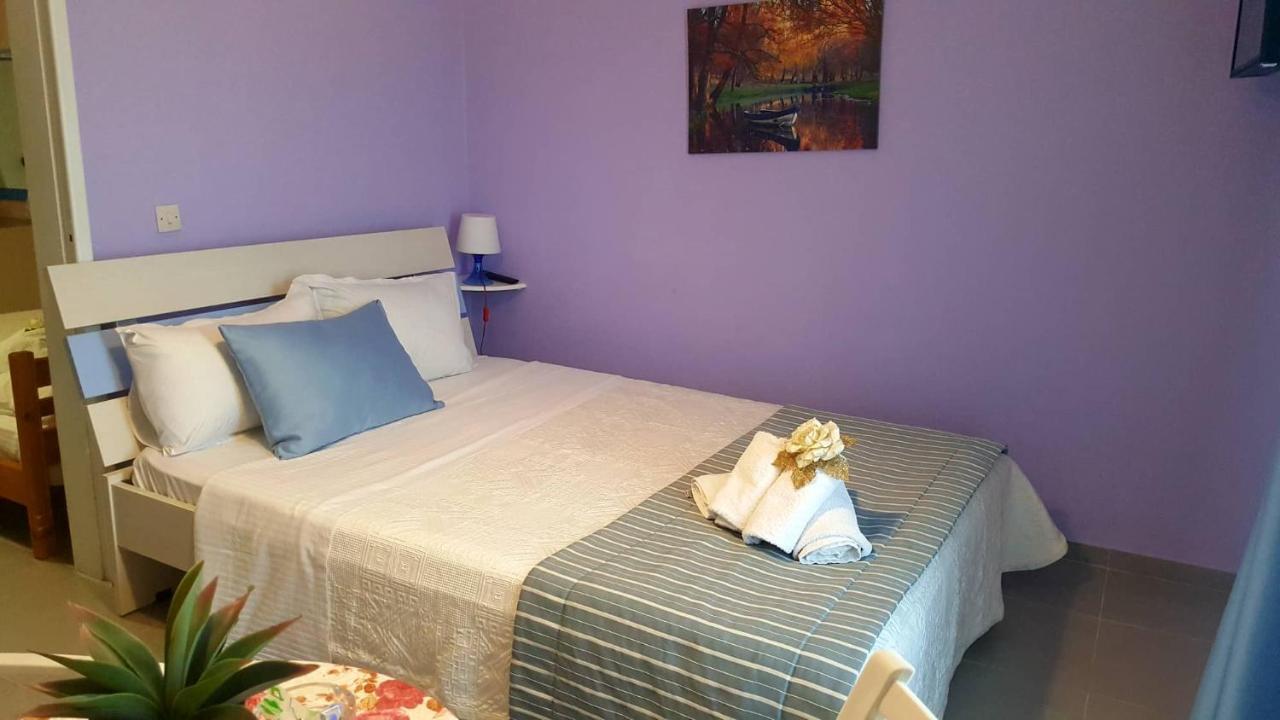 Fani Liakou Apartment Nea Fokea