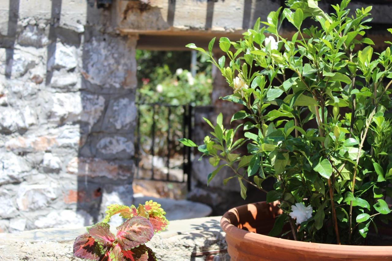 Melita Traditional Stone House * Pyrgos Dirou