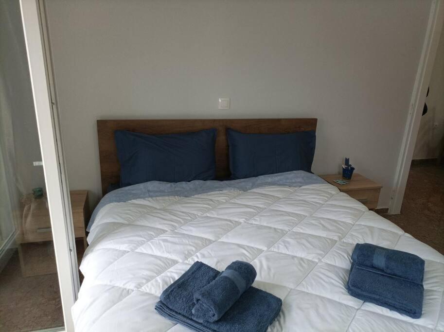 κοντά στην θάλασσα Holiday home Arkoudi