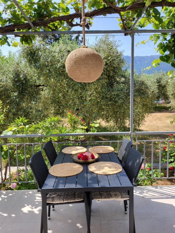 Ioannis - Gemuetliches Im Olivenhain