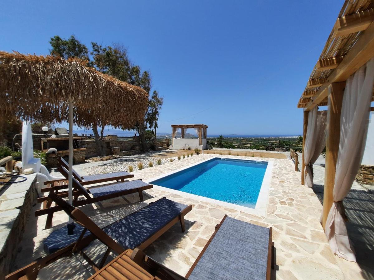 Janakos View With Private Pool Apartment *