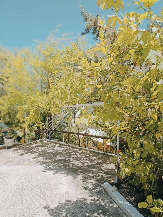 Heras Garden Vasiliki (Lefkada)