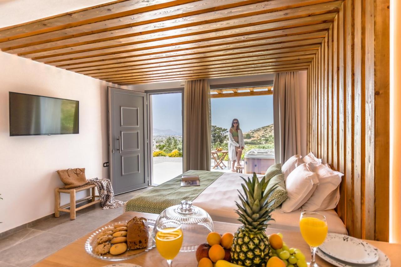 Apartment Naxos Pantheon Luxury