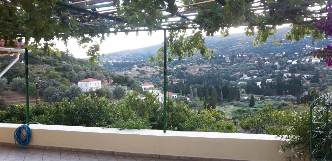 το σπιτάκι στον παραδοσιακό οικισμό λειβαδίων άνδρου Apartment