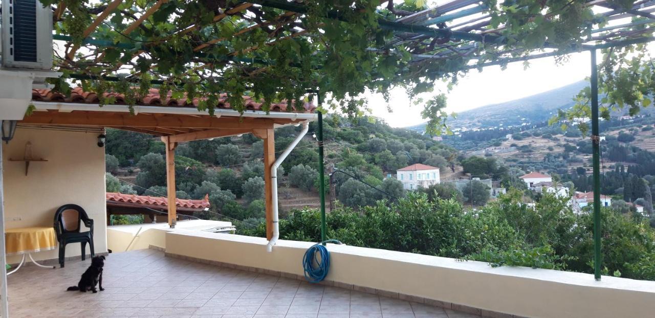 Apartment το σπιτάκι στον παραδοσιακό οικισμό λειβαδίων άνδρου *