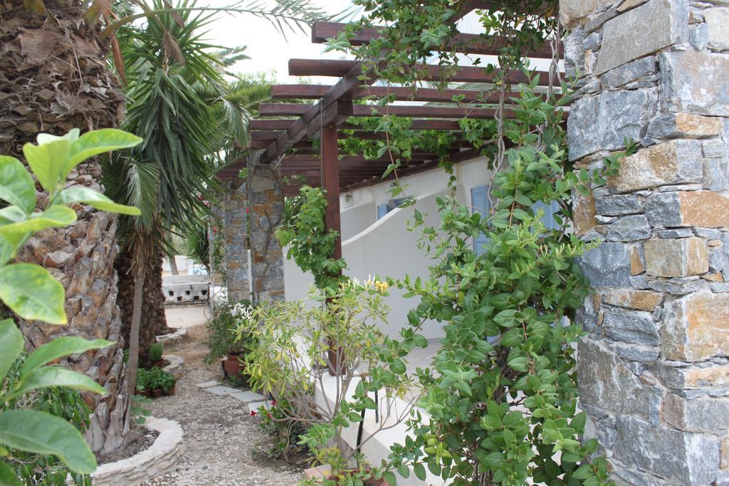 Akrogiali Aparthotel Posidhonia (Syros)