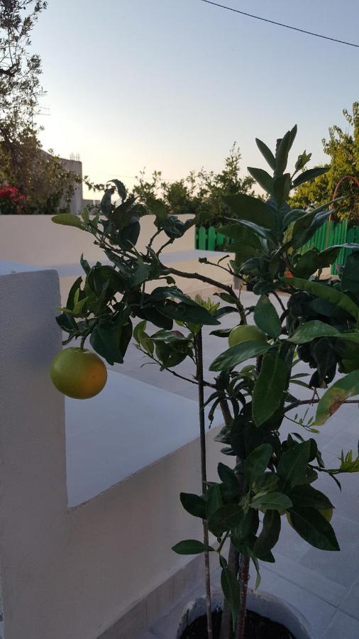 Maison De Village Au Calme - Alonia Holiday home Psinthos