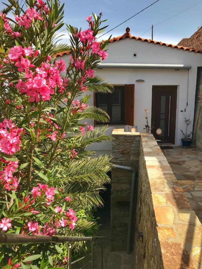 Astra-ferienhaus Mit Grosser Dachterrasse Und Top-ausstattung In Nas Holiday home Armenistis (Ikaria)