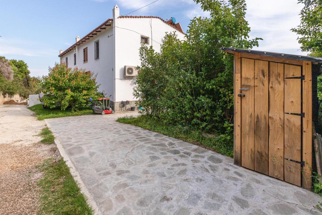 Holiday home & Blue Experience Mola Kalyva