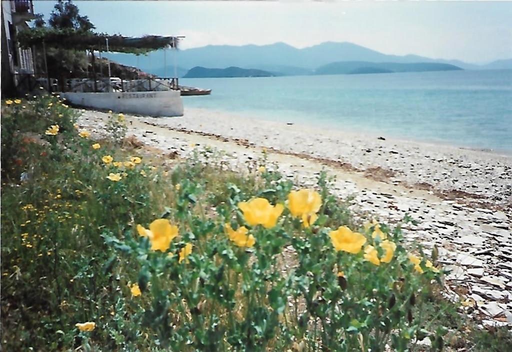 Epavli Sofia' S Two In Horto, 30m From The Sea *