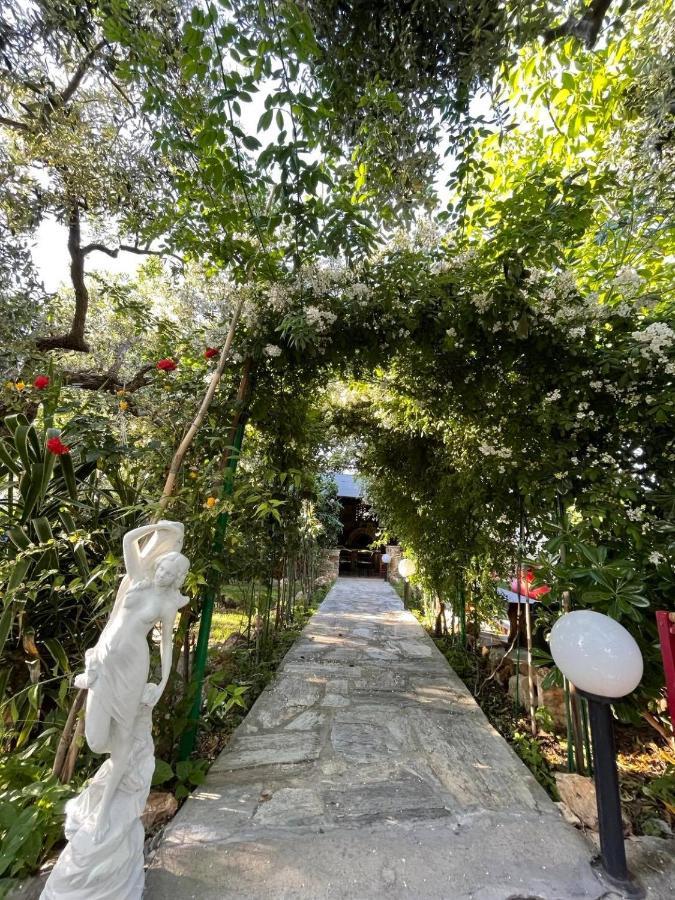 Aggeliki *