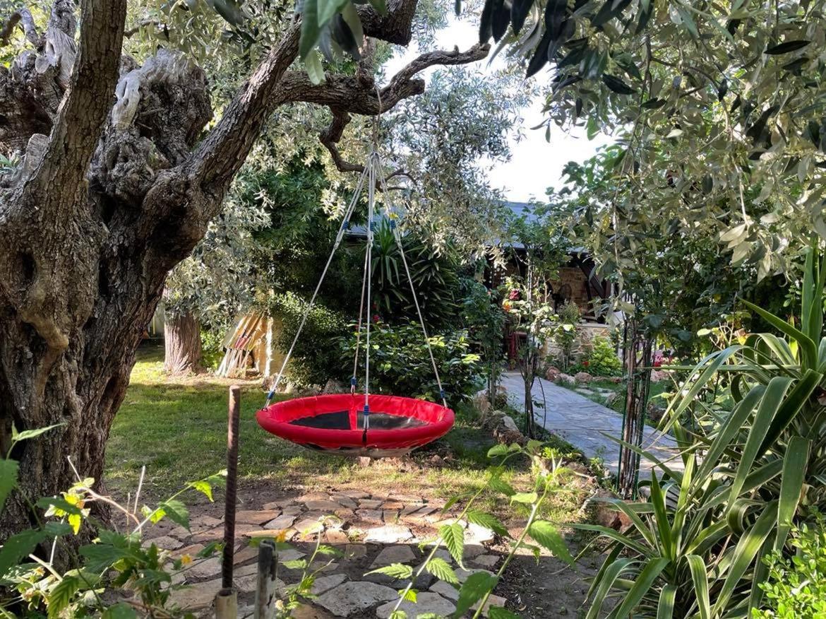 Aggeliki Apartment Prinos (Thasos)