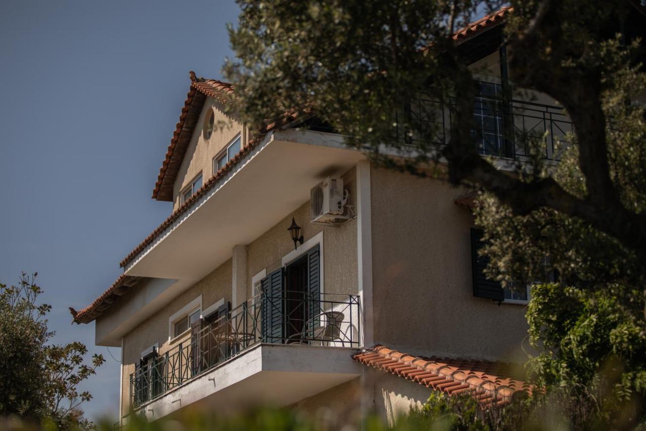 Georgina Guest house 4*