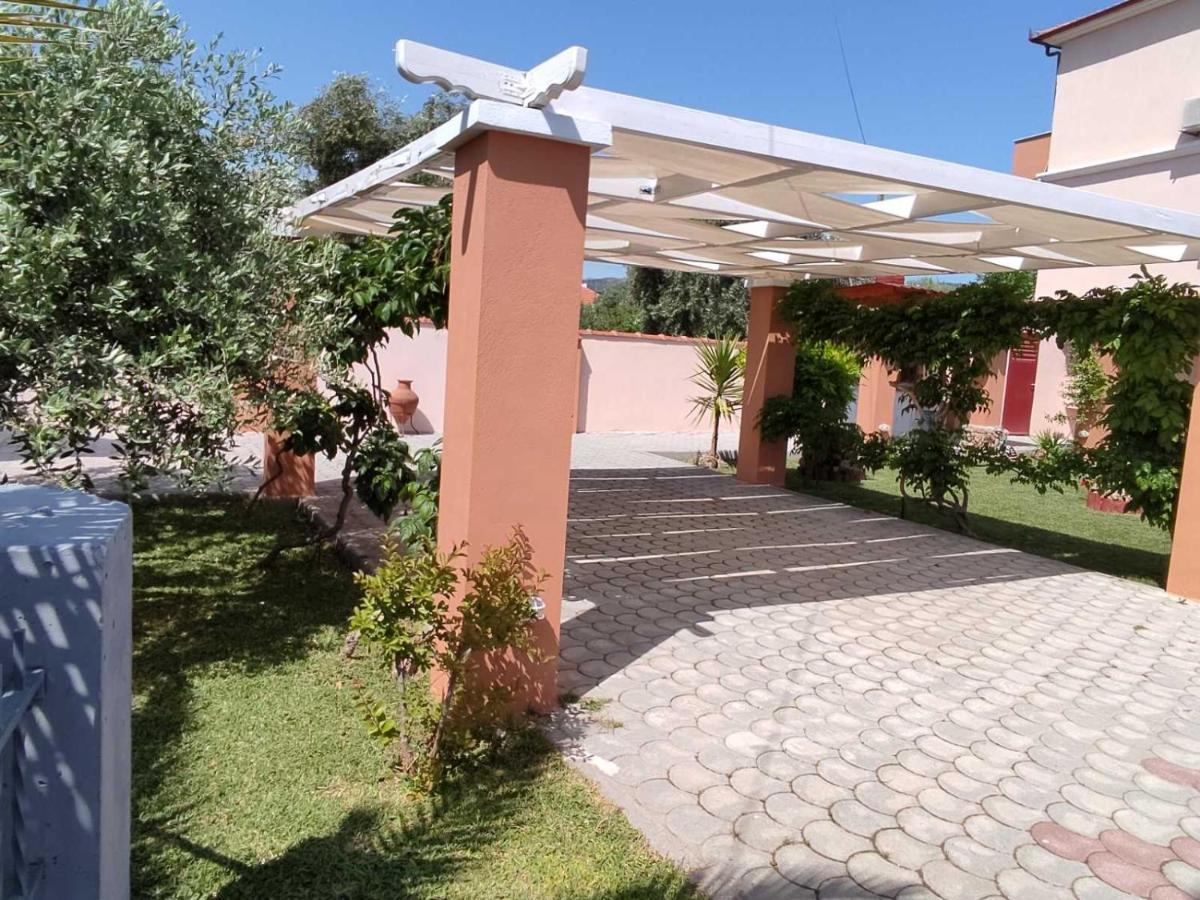 Apartment Olive Grove House *