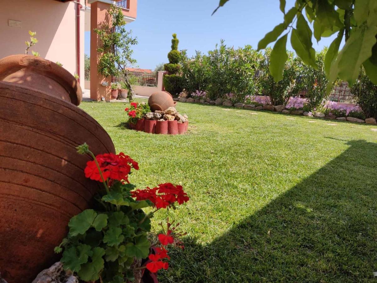 Olive Grove House Apartment