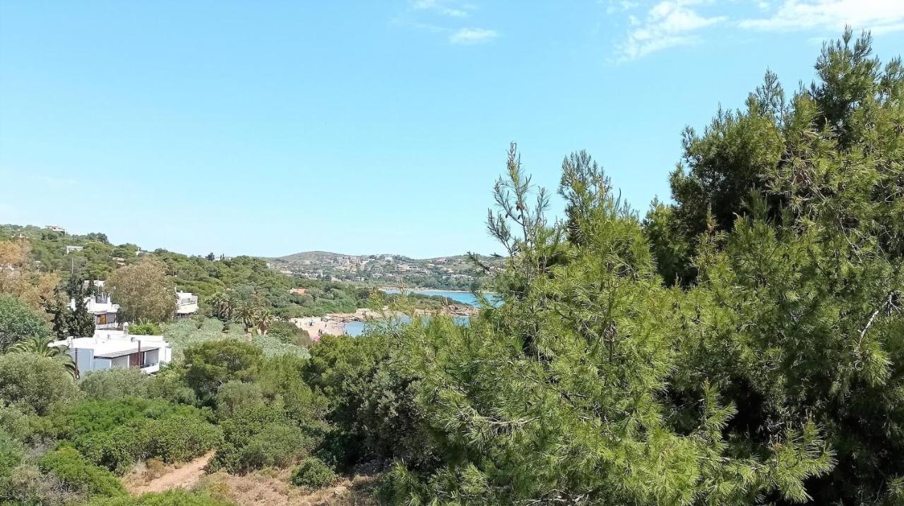 Dea Del Mare Complex In Front Of The Sea. Villa Sounion