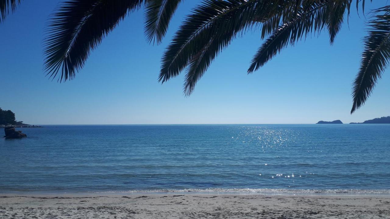 Ioannis - Gemuetliches Im Olivenhain * Skala Potamia (Thasos)