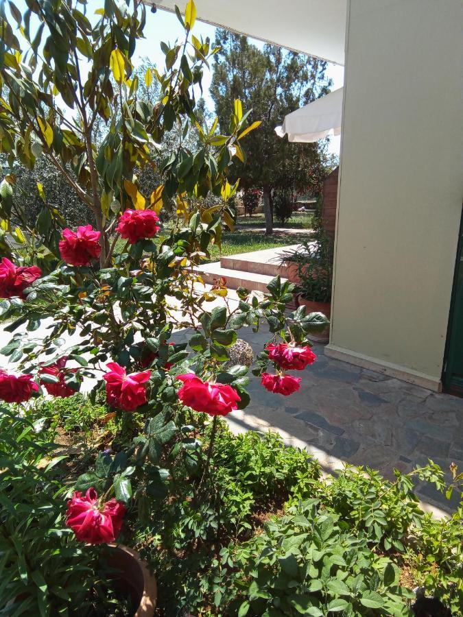 Country house Ktima Anastasia