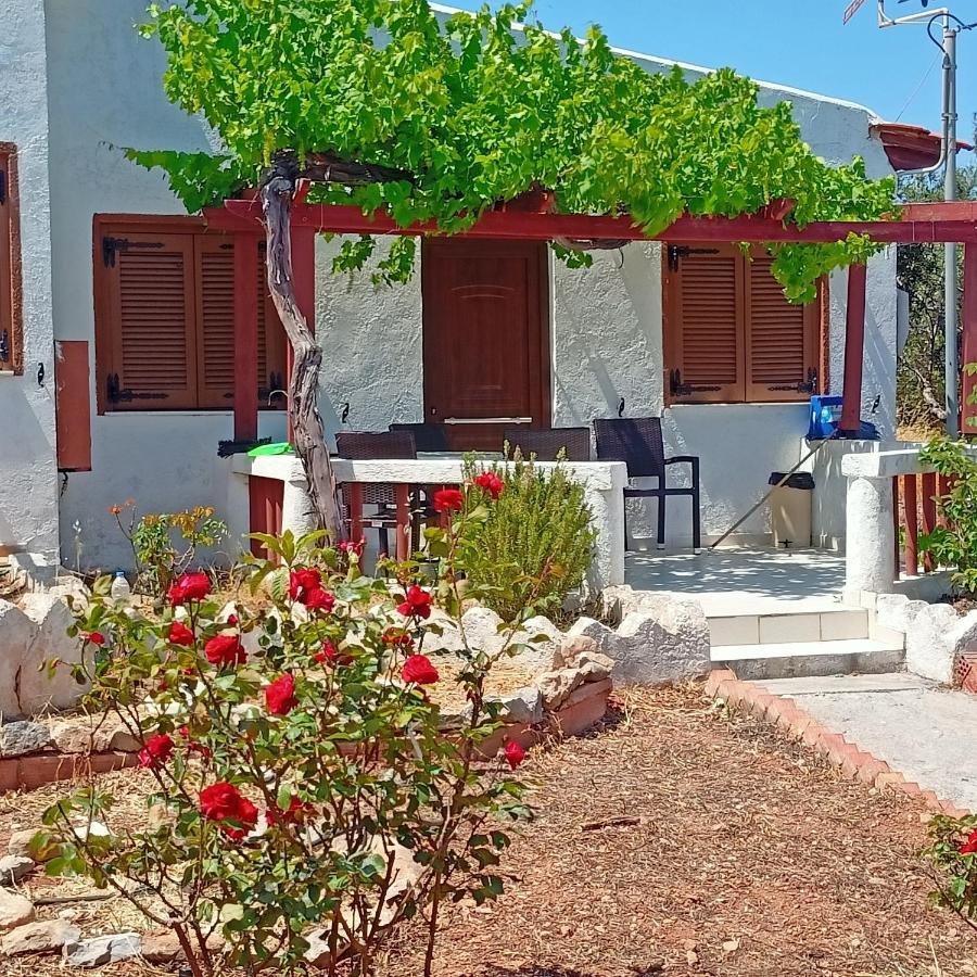 Sunrise Apartment Palekastro