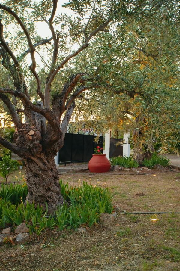 Villa βίλλα φανούλα Fanoula Chorto