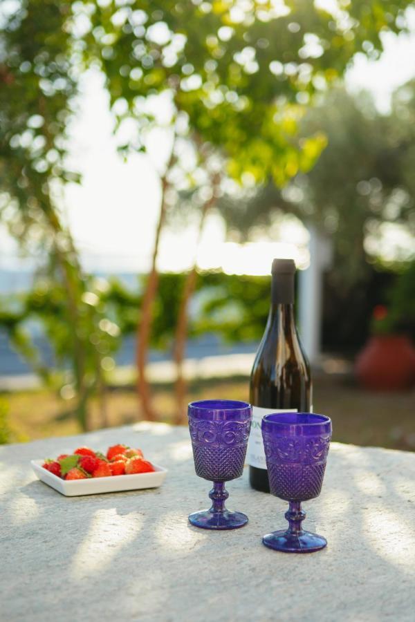 Villa βίλλα φανούλα Fanoula Chorto