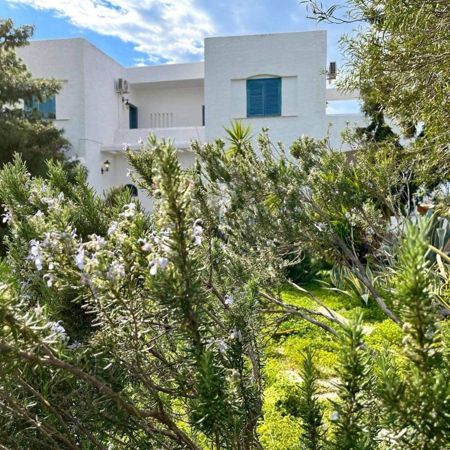 Velissarios: Wonderful Next To Villa