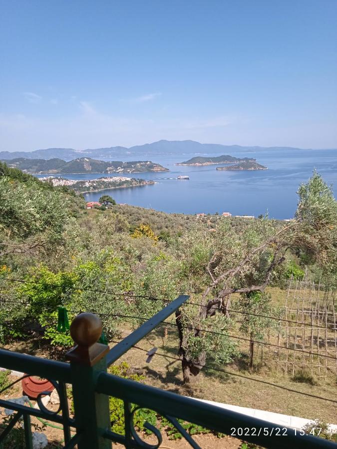 Axiothea Vasilias (Skiathos)