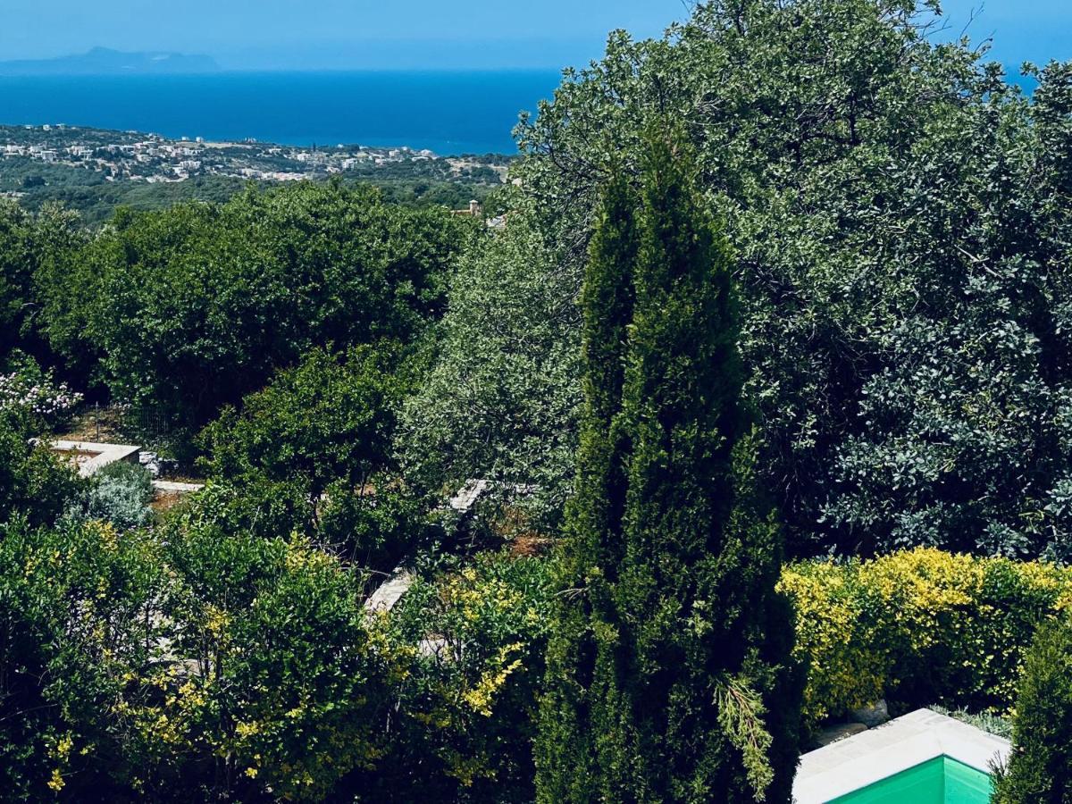 Olympia - Erato Holiday home *