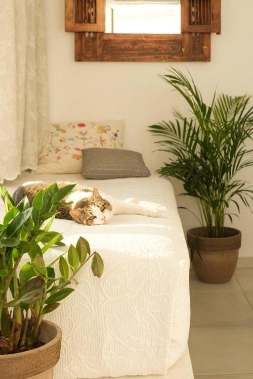 Apartment Anatoli