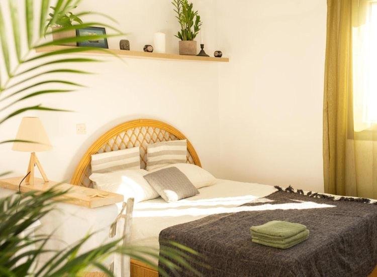 Anatoli Apartment Ambelas