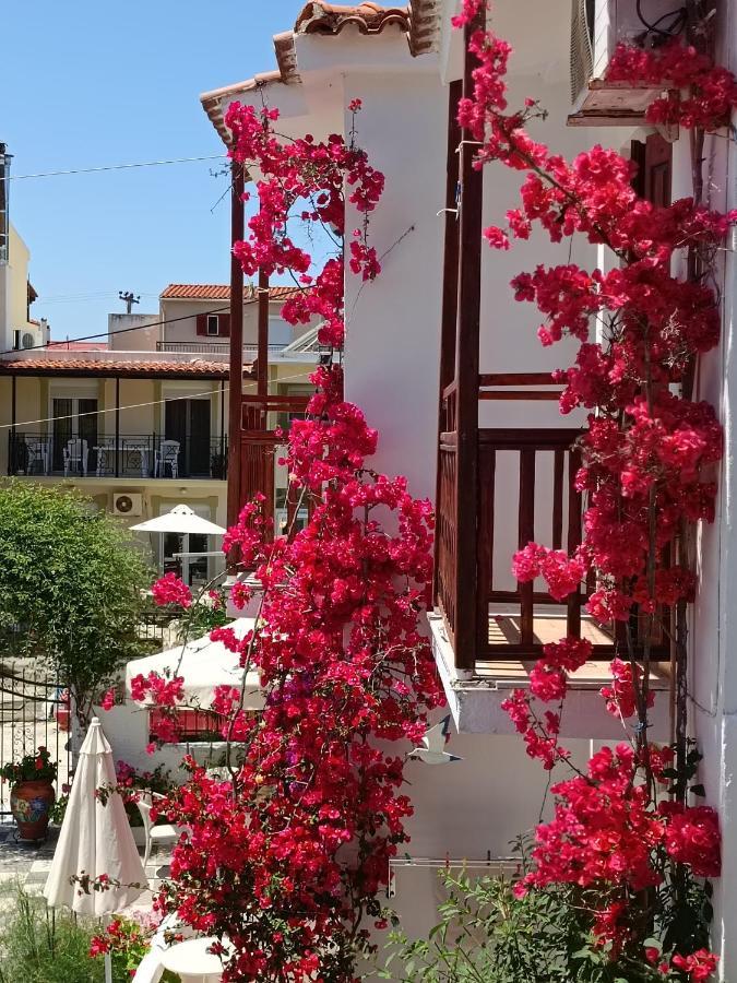 Amalthia * Skiathos Town